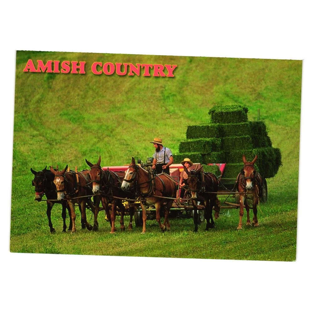 Amish Country Scenic Postcard Kurt Rhody Germany 1997 Vintage Farm Scene Horses